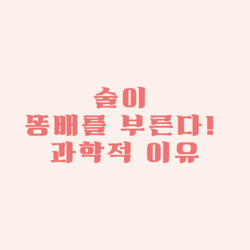 술이 똥배를 부른다! 과학적 이유