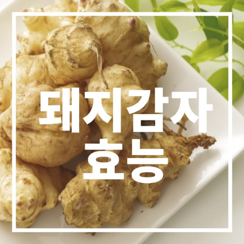 돼지감자 효능