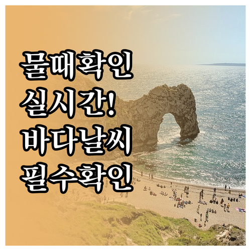 정확한 바다 시간표 확인과 실시간 해..