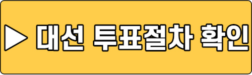 대선-투표절차-확인