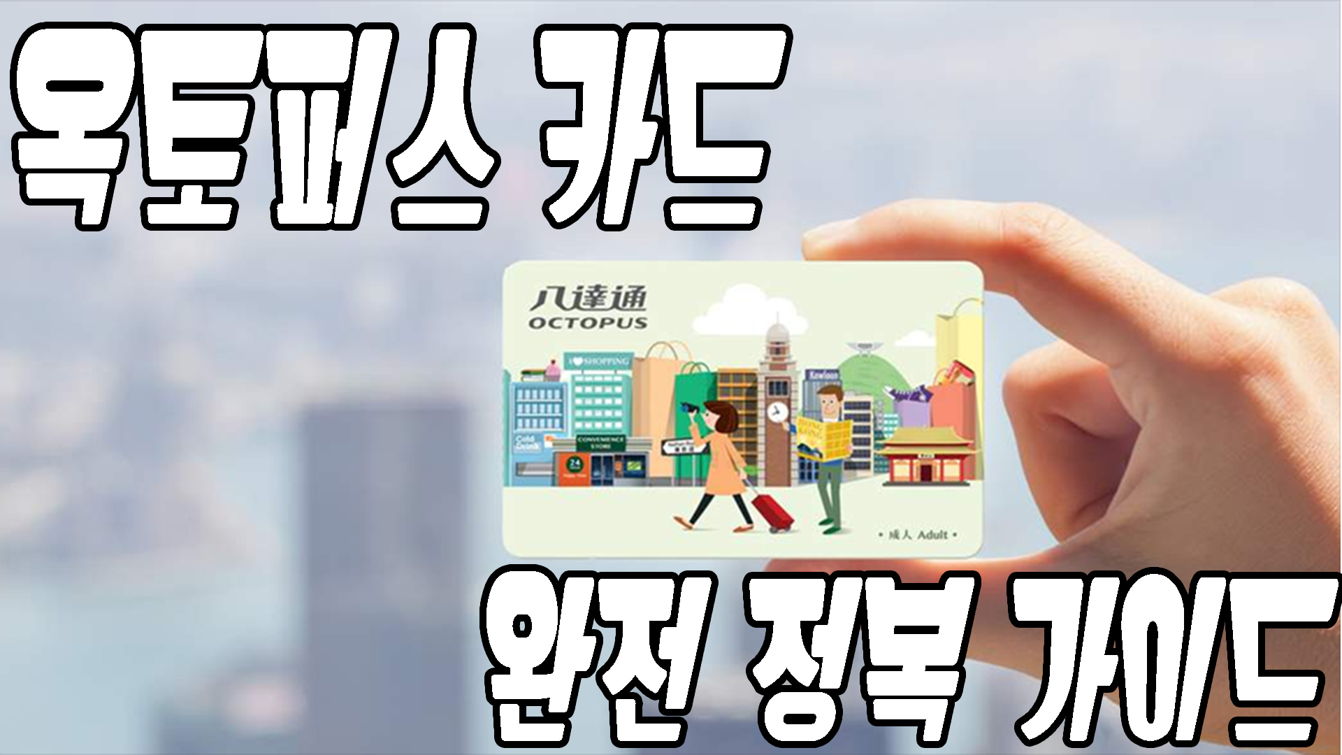 옥토퍼스카드 완전정복가이드