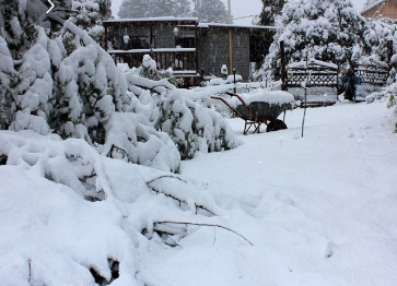 시드니 여행하기좋은시기