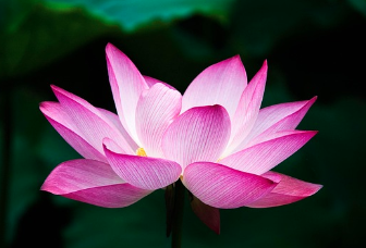 공수래 공수거 뜻 총정리, 불교용어인가? 유래와 한자 의미