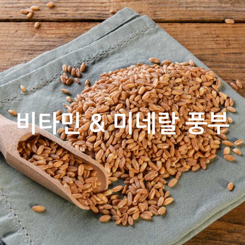 파로의 효능과 먹는방법