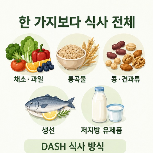 채소·과일과 통곡물, 콩·견과류, 생선, 저지방 유제품을 함께 구성하는 DASH 식사 방식을 표현한 이미지