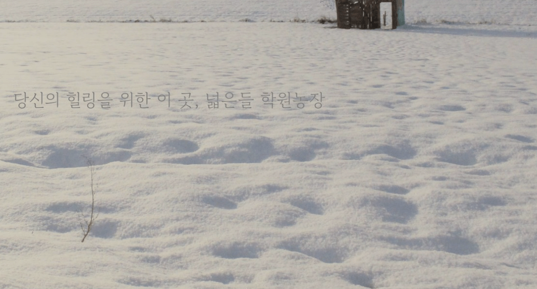 고창 학원 농장 입장료 총정리 관련사진