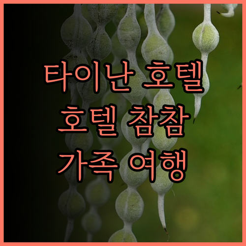 호텔 참 참 (Hotel Cham C