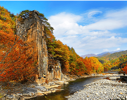 단양 가볼만한곳