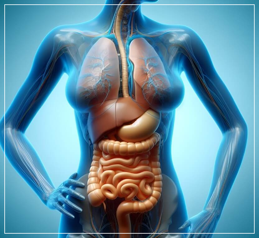 대장내시경 전 먹어도 되는 음식