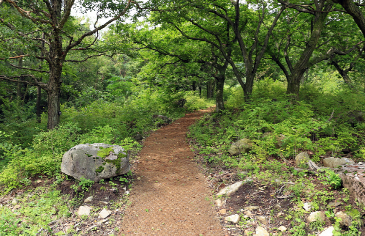 가야산 생태탐방원 전경