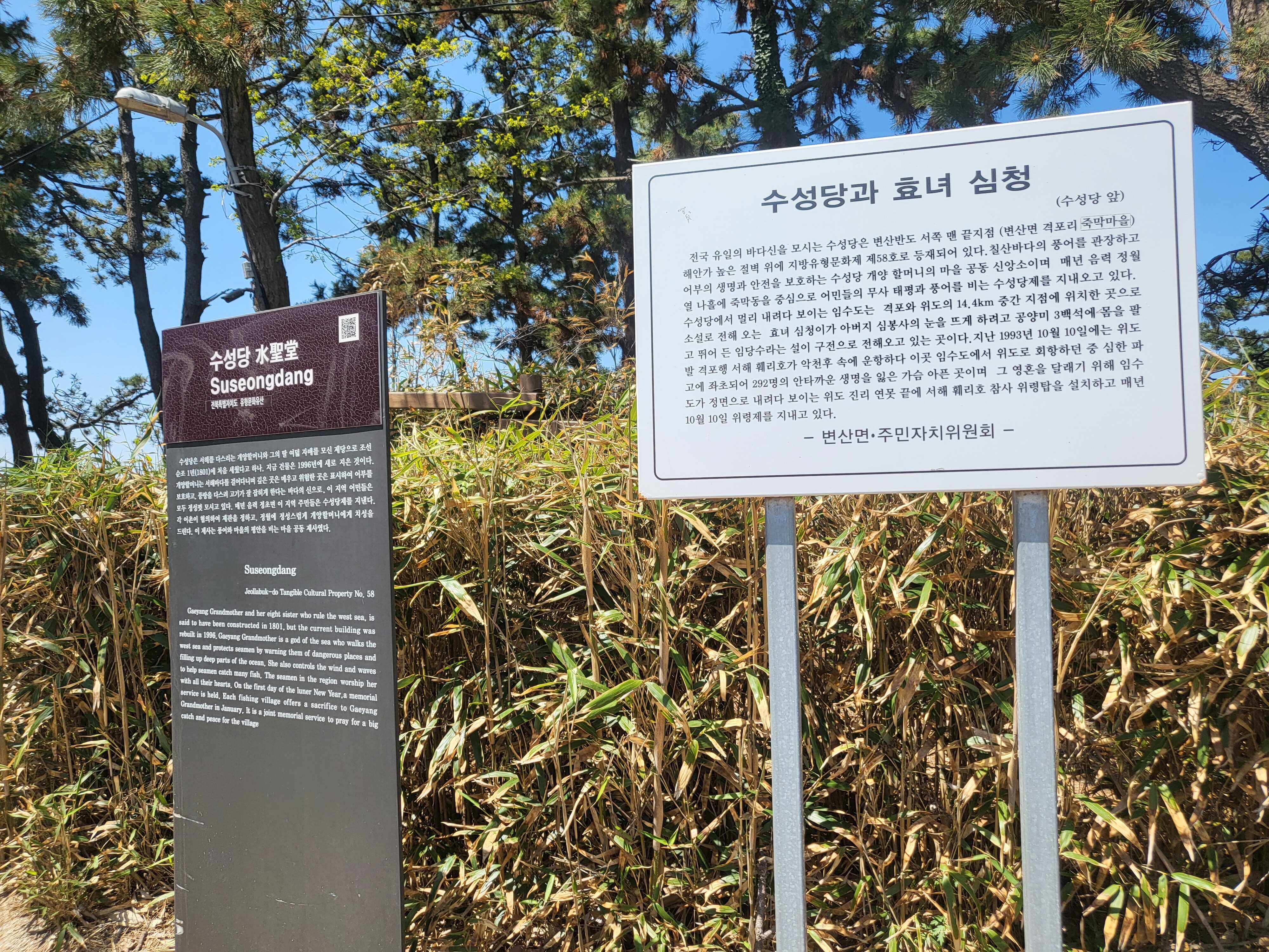 전라도 부안 여행 유채꽃 수성당