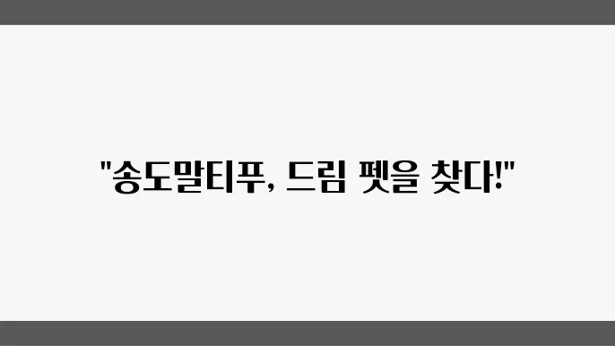 송돀말티푸분양 알아봅니다