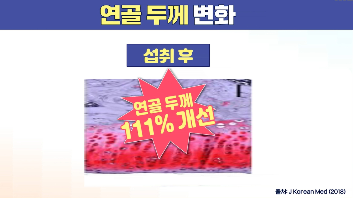 우슬 뿌리 효능