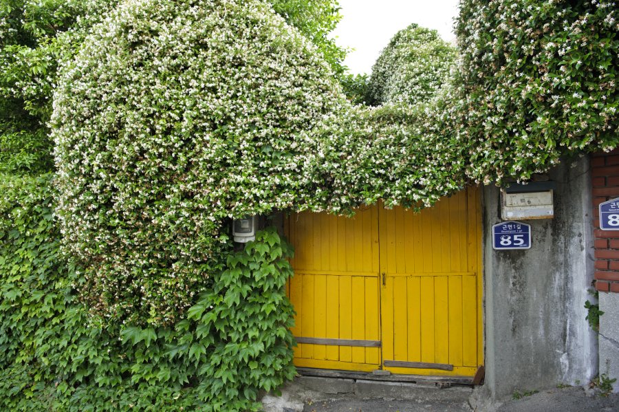 동삼1구역 재개발 지역