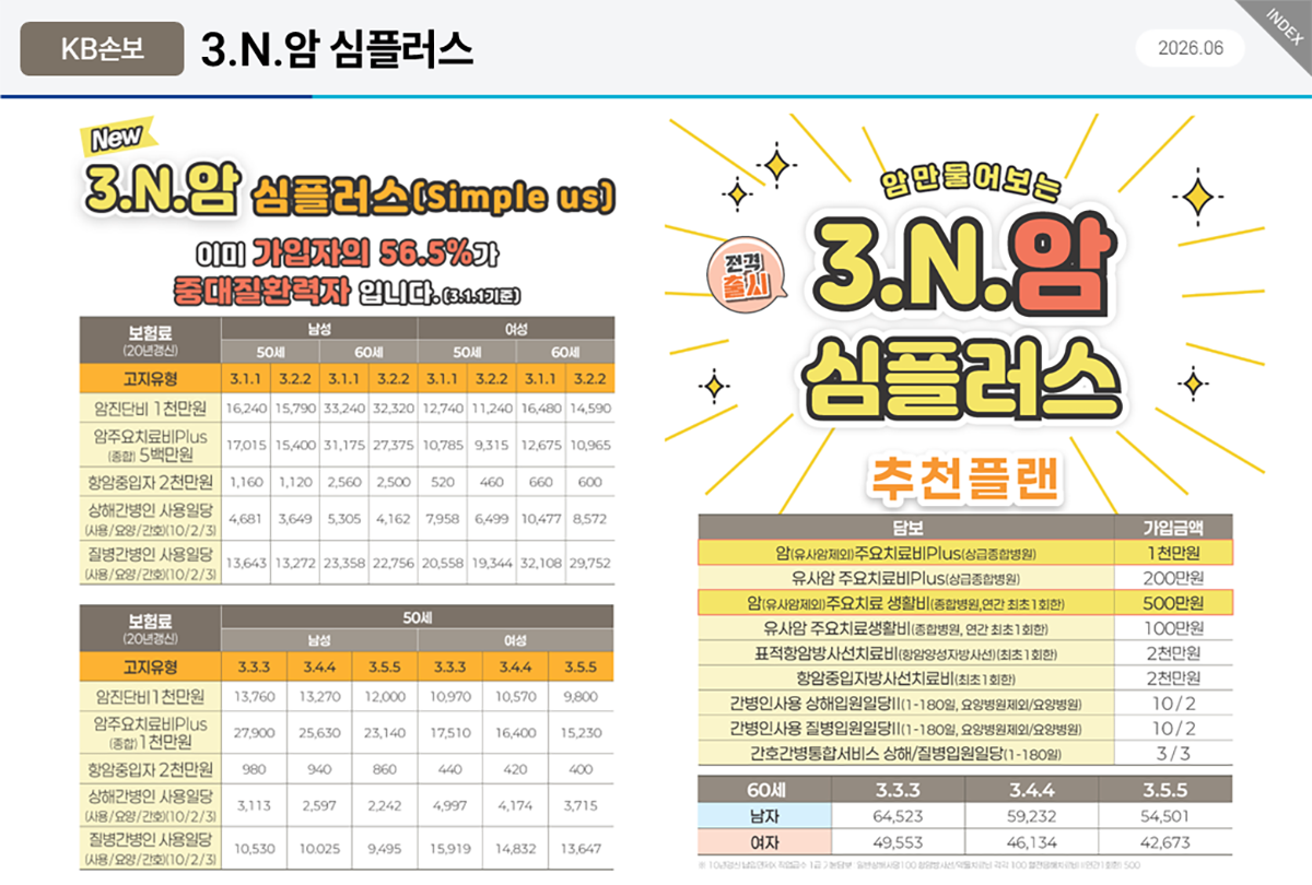KB손보 3N 암심 플러스
