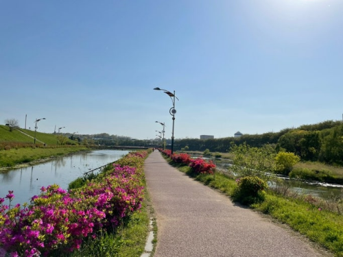세종 조천변 산책로 사진