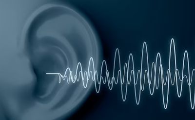 군소음피해보상금 신청