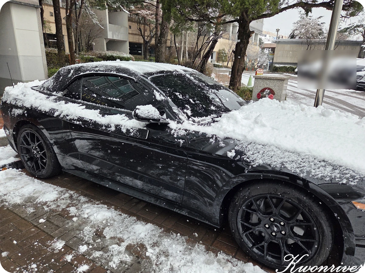 차-위에-눈-치우기