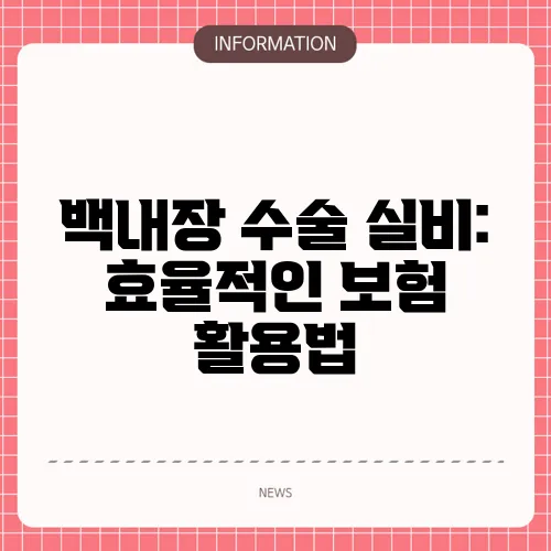 백내장 수술 실비: 효율적인 보험 활용법