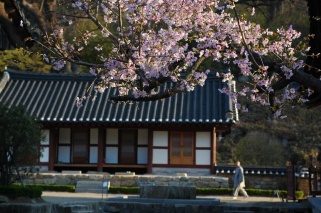 통도사 템플 스테이