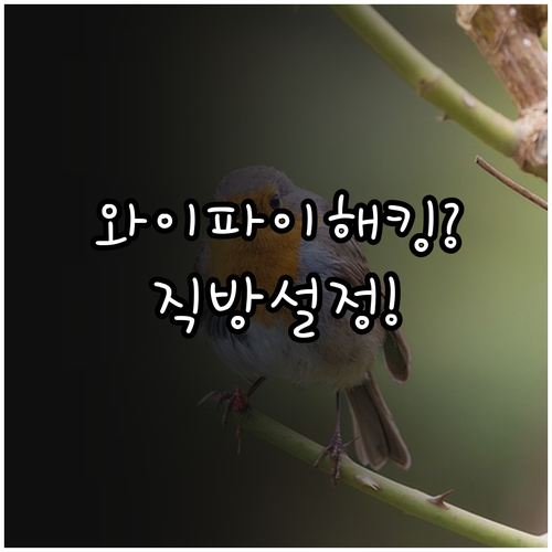 와이파이 연결 도어락 해킹 위험 줄이..