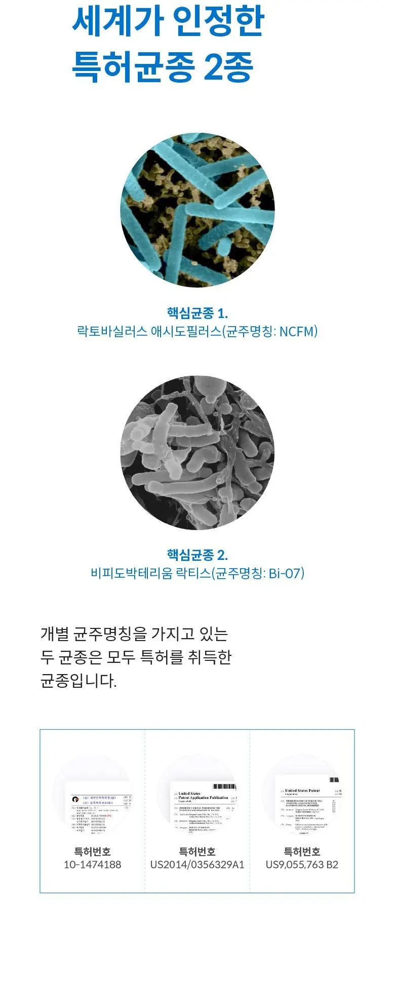 여에스더 유산균 프로바이오틱스