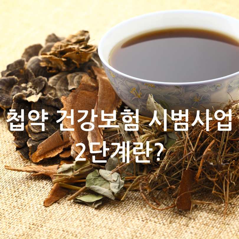 첩약 건강보험 시범사업 2단계