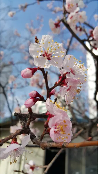 아웃포커스 사진 피사체 분리 배경 처리 색감 조절_8