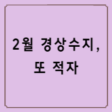 2월경상수지적자