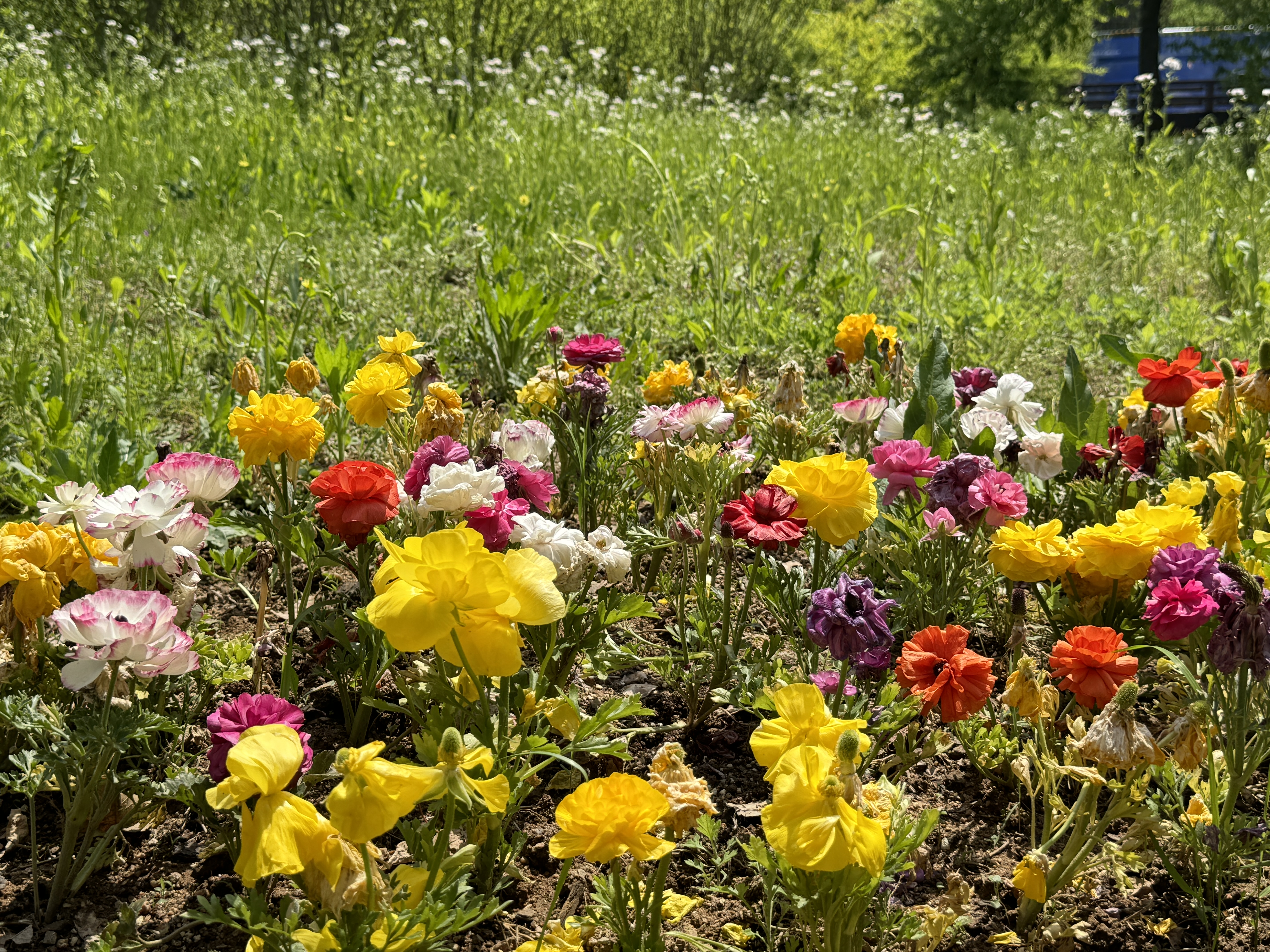 부천자연생태공원