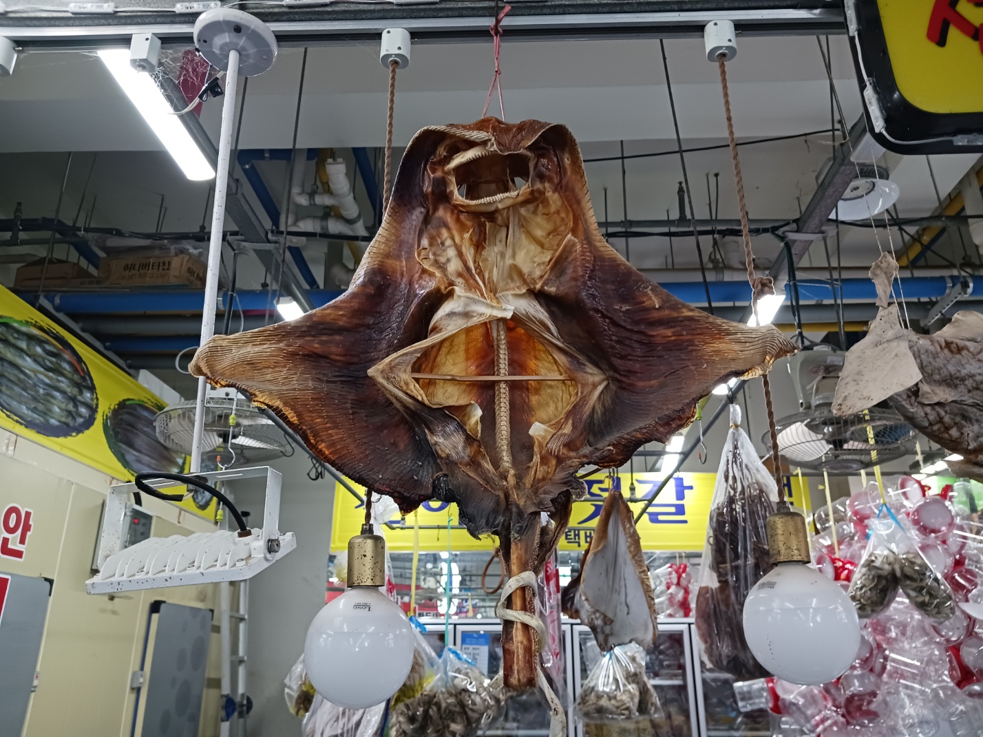 삽교호전망대종합어시장