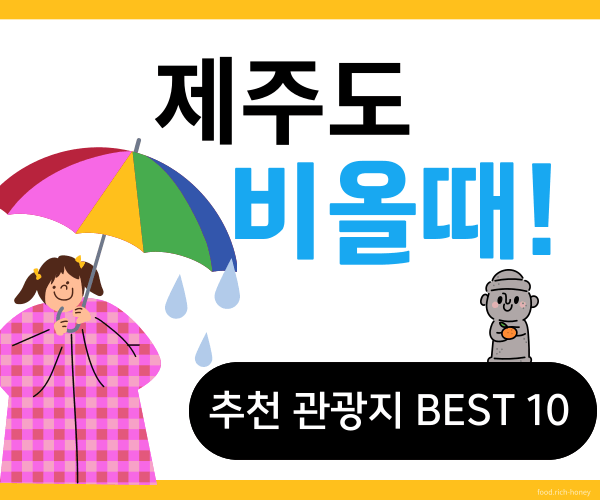 제주도비올때