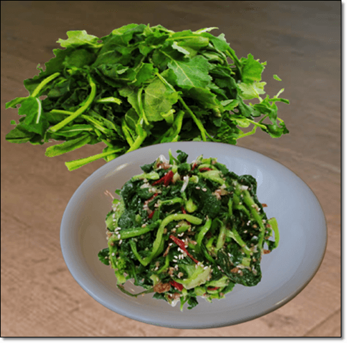 유채 나물 효능