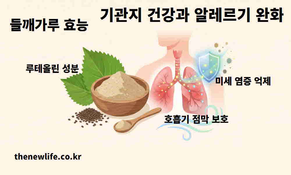 들깨가루 효능 기관지 건강 알레르기 완화