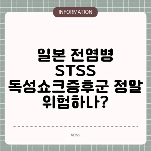 일본 전염병 STSS 독성쇼크증후군 정말 위험하나?