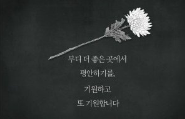국화꽃-사진2