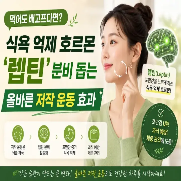 수면 부족이 부르는 가짜 식욕 완벽 탈출 후기