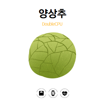 양상추