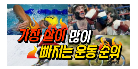 1.살이 많이 빠지는 운동 순위