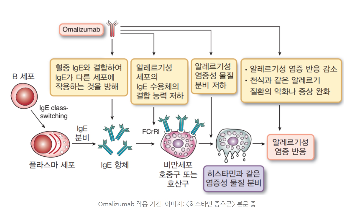 만성피로의 원인 히스타민증후군의 증상, 원인, 치료, 예방법 총정리