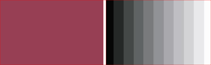 선명한 라이트(Vivid Light)