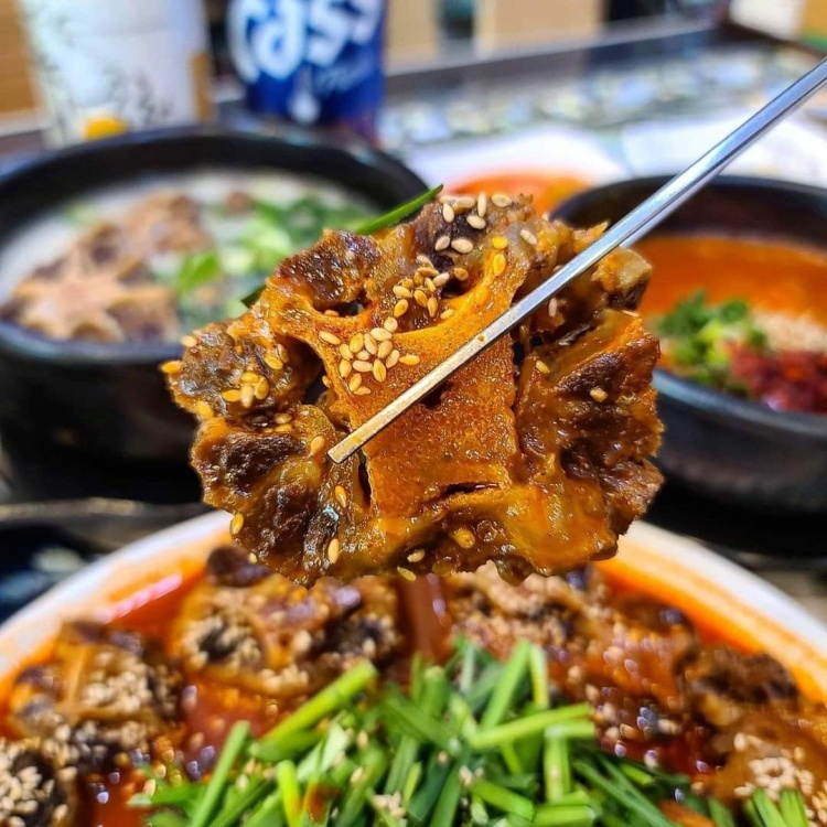 생방송오늘저녁 전남 담양 육회비빔밥, 매운 맛 빨간 소꼬리 수육 꼬리수육 맛집 추천