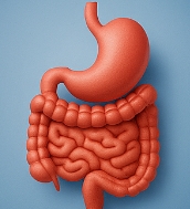 당근 효능