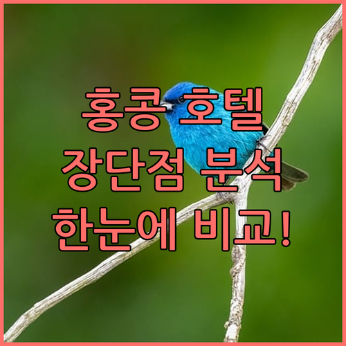 K11 아르투스, 뉴 월드 밀레니엄
