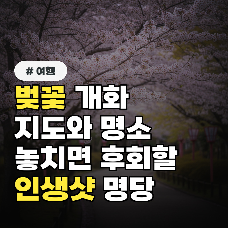 벚꽃 개화 지도, 놓치면 후회할 벚꽃 명소 5곳