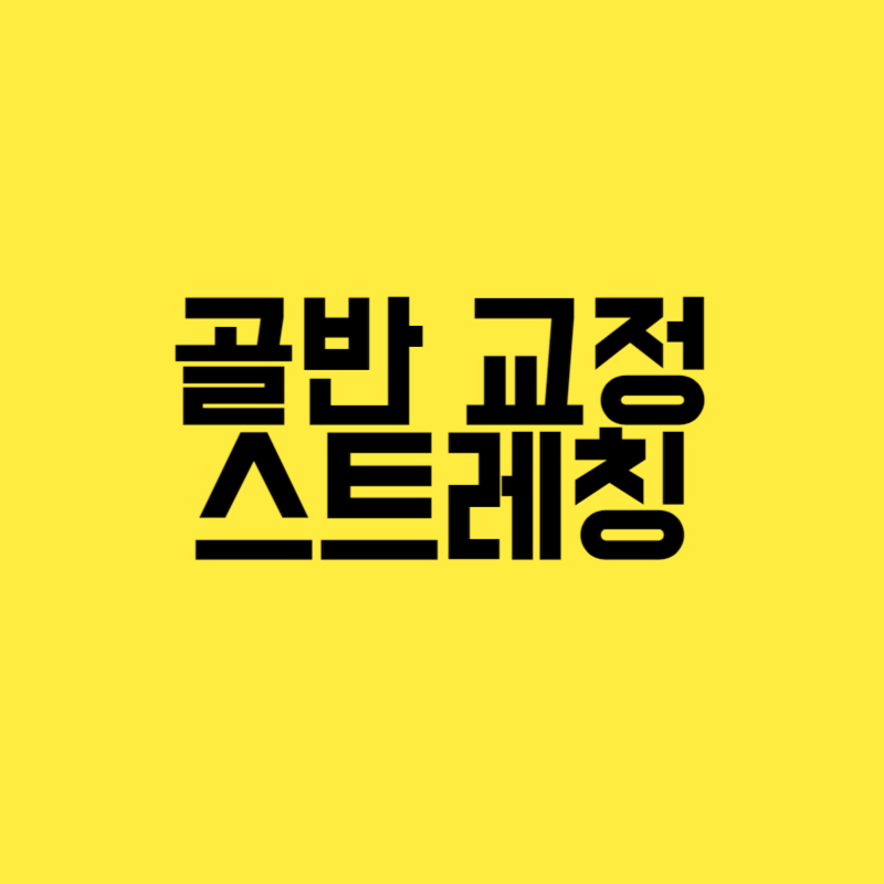 골반 교정 스트레칭