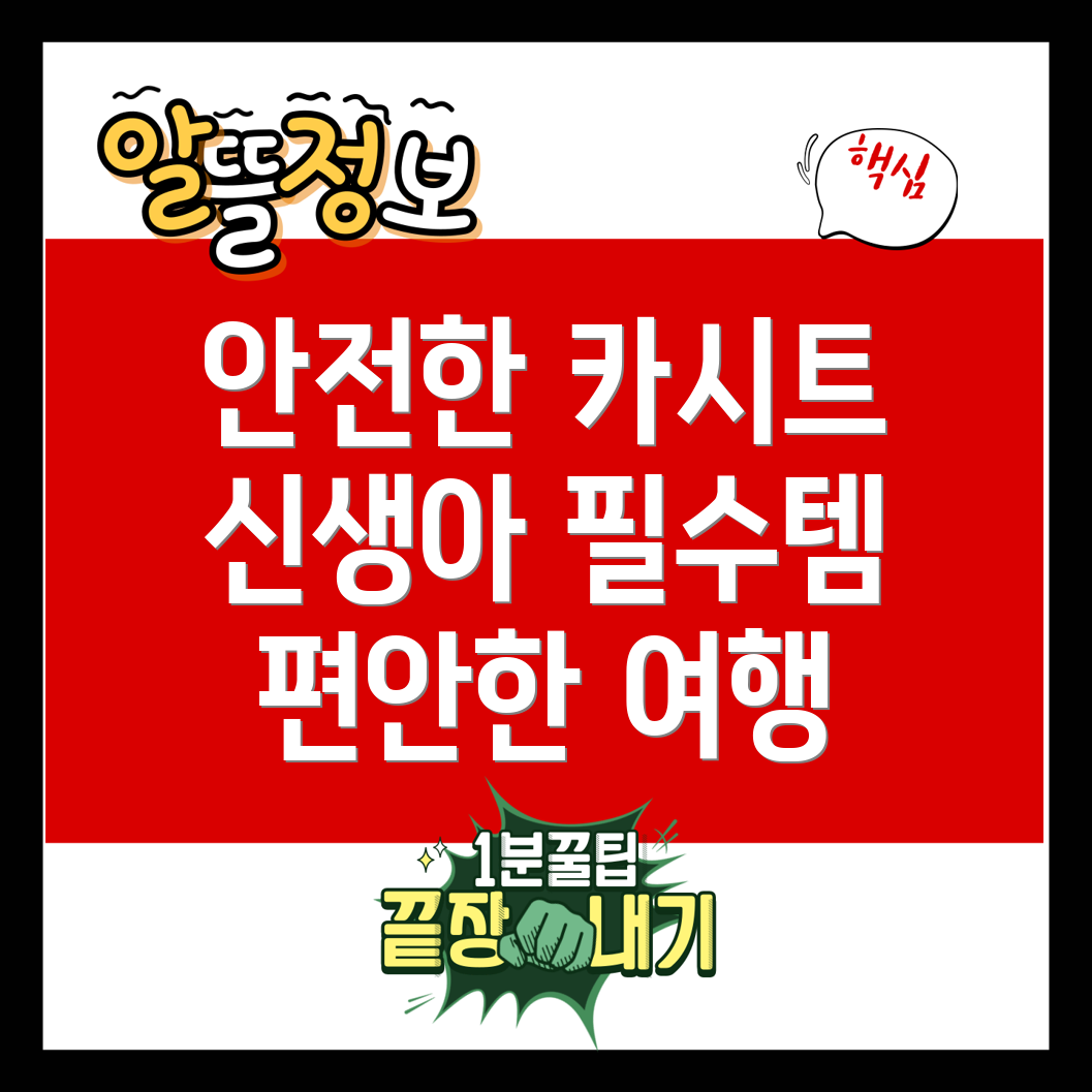 카시트 선택