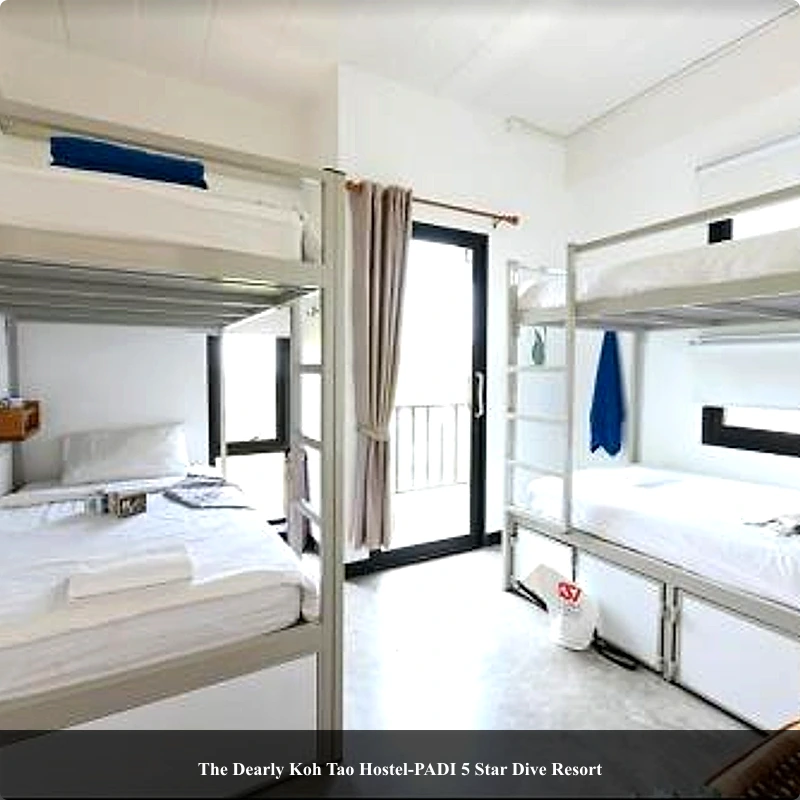 The Dearly Koh Tao Hostel-PADI 5 Star Dive Resort_2