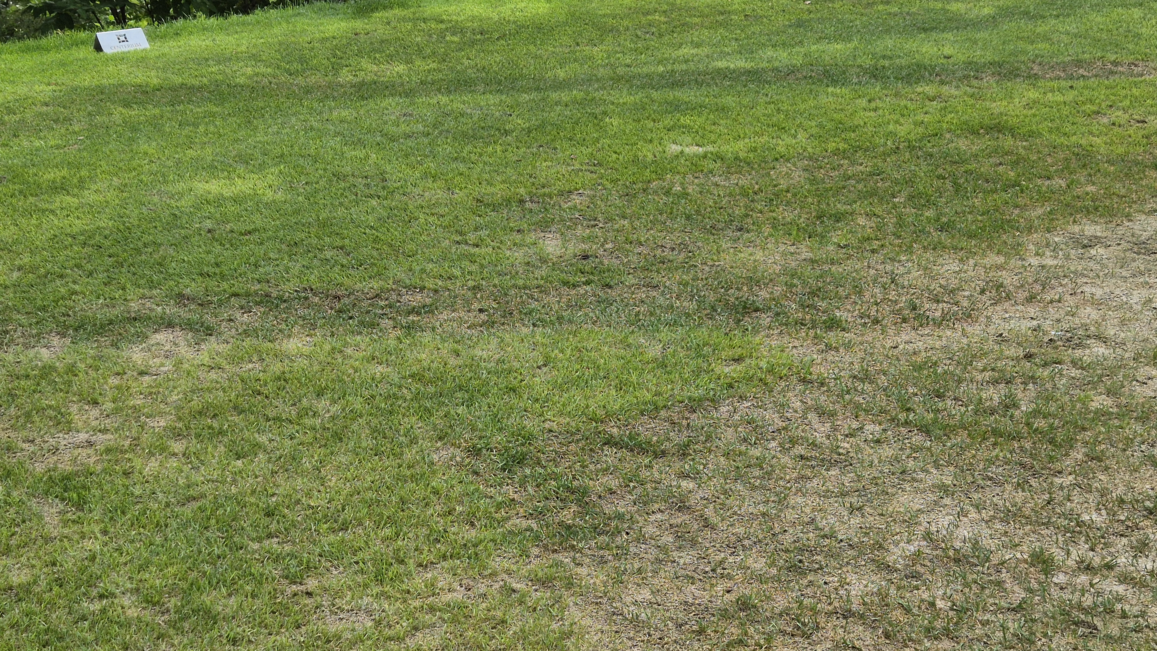 센테리움cc 스코틀랜드-웨일즈 코스 라운드 후기