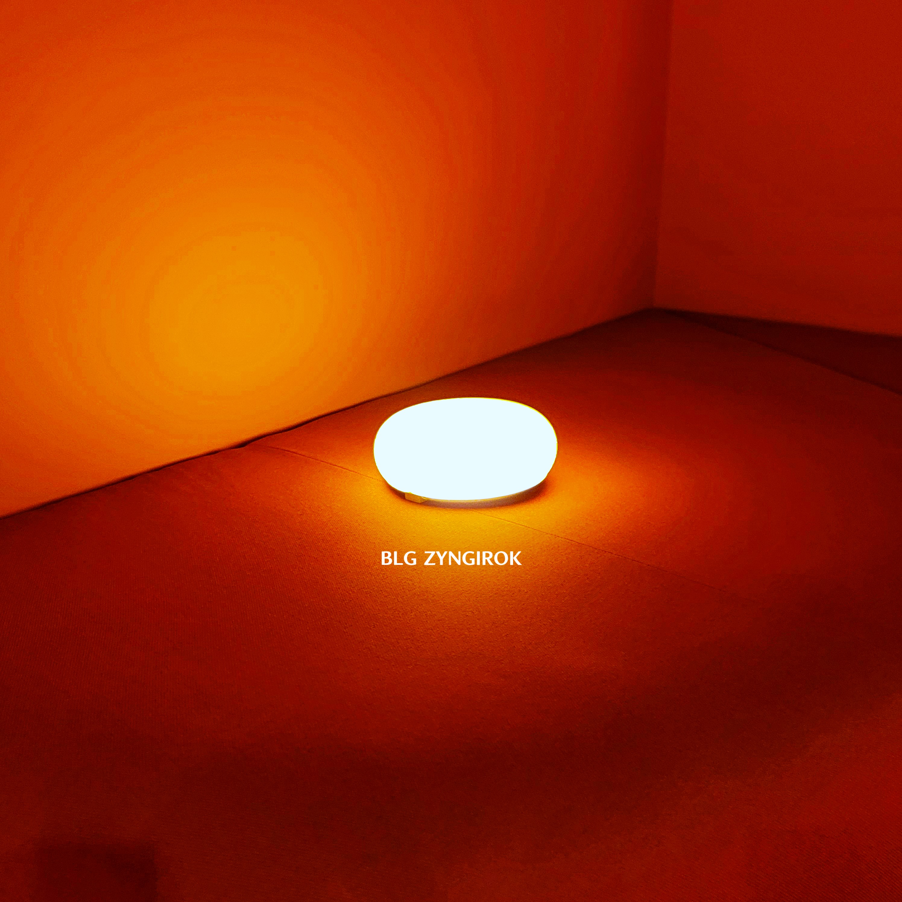 Room for Wonder : KAMBER CARROLL - 작품 모습이다.